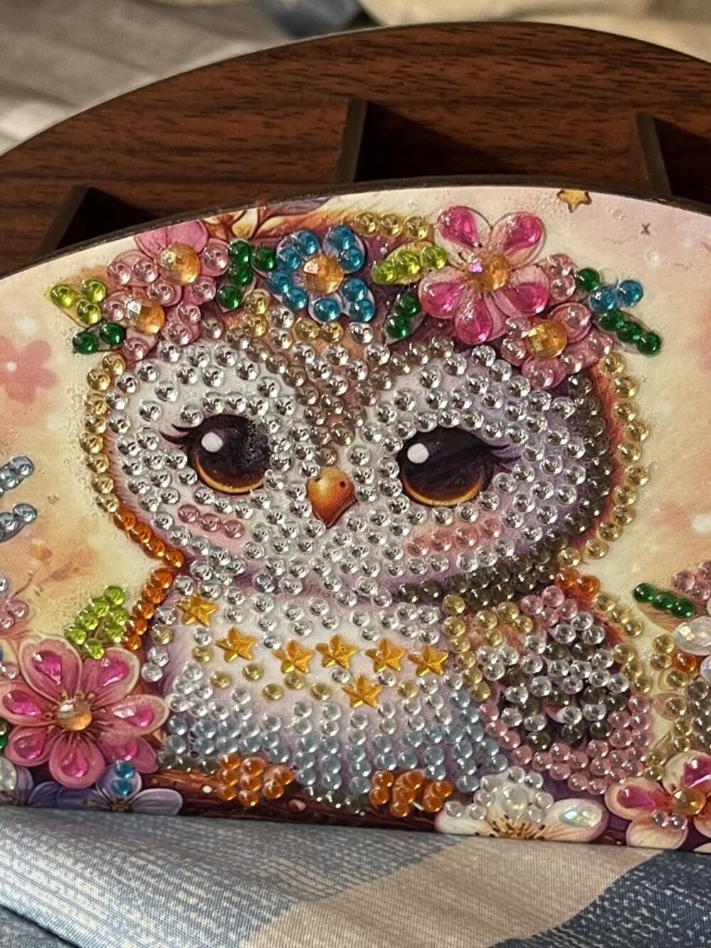 Owl Organizer Box - Diamond Art